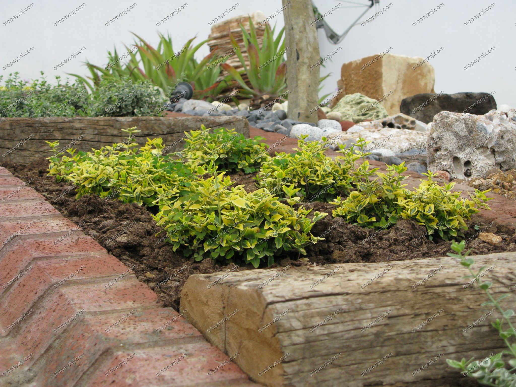 ÇAKILLI PEYZAJ UYGULAMAMIZ